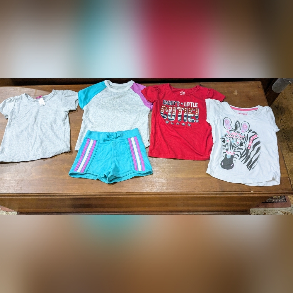 Toddler girls 3t bundle